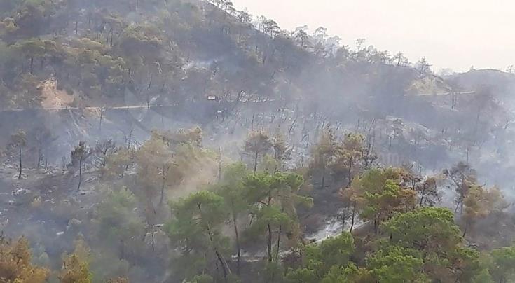 Υπό πλήρη έλεγχο δασική πυρκαγιά στο Δάσος Ακάμα